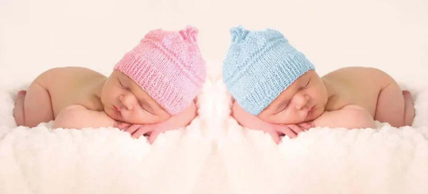 İkiz Bebek Bakıcısı